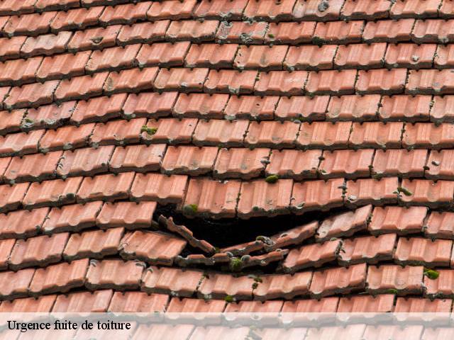 Fuite de toiture dans l'oise